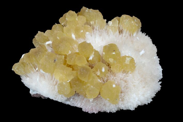 Yellow Calcite On Scolecite (Zeolite) Sprays - Maharashtra, India #168696